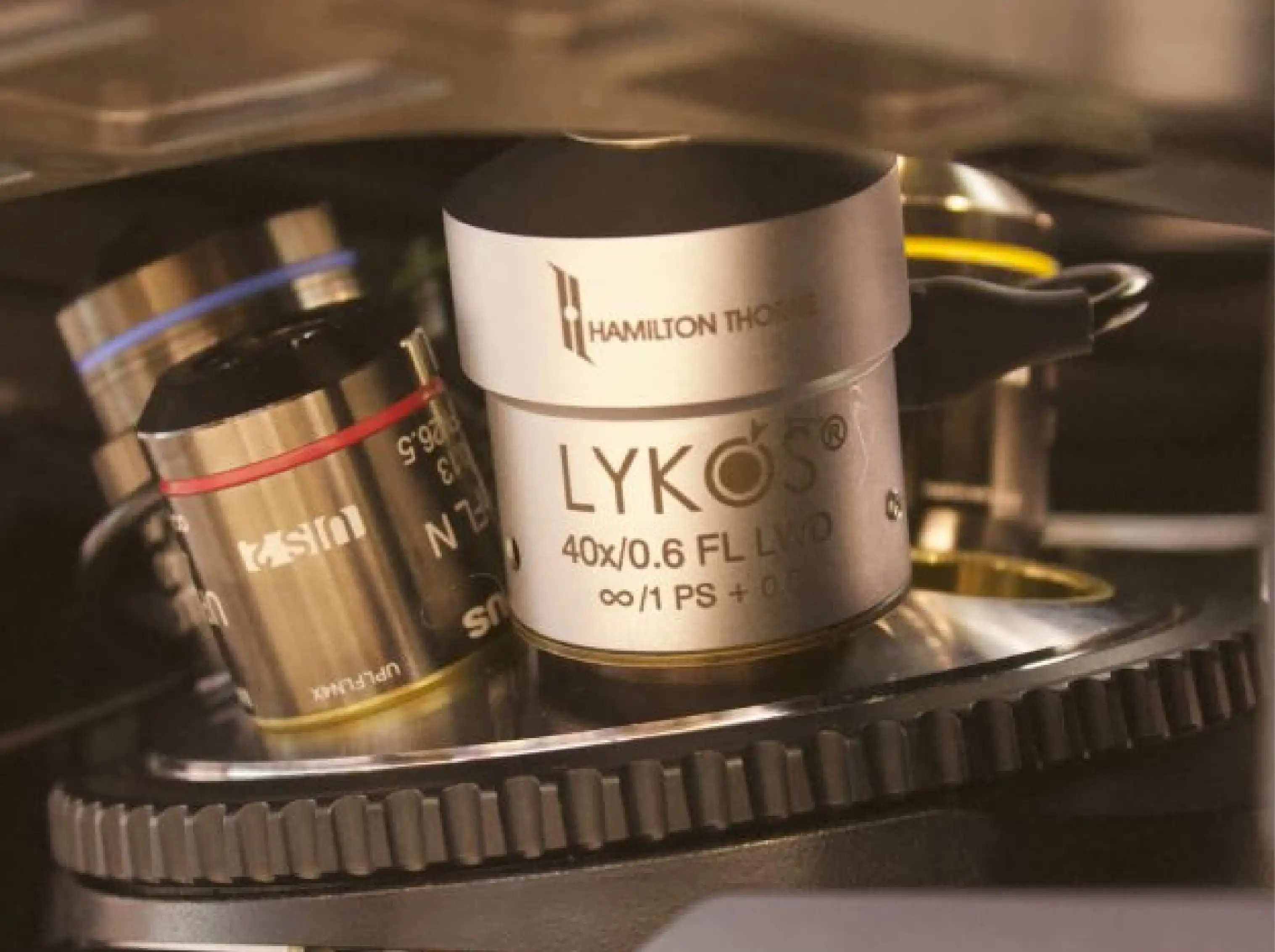 In Vitro Fertilization (IVF) | Jordan